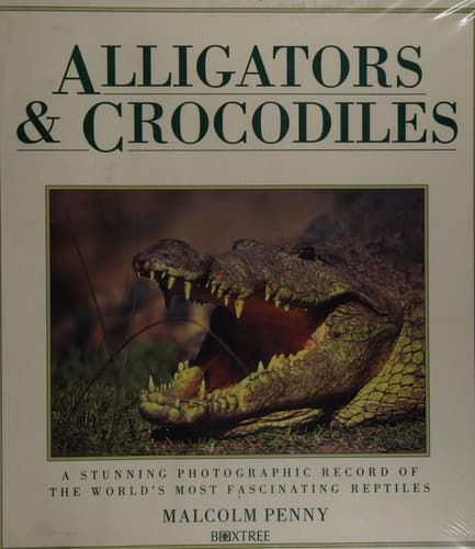 Cover image for Alligators & crocodiles