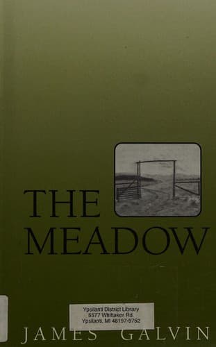 Cover image for The meadow