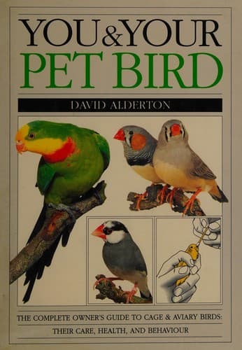 Cover image for You & your pet bird