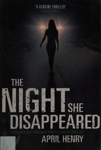 Cover image for The night she disappeared