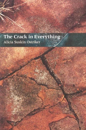 Cover image for The Crack In Everything