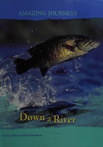 Cover image for Down a River (Amazing Journeys)