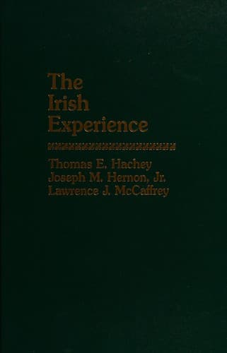Cover image for The Irish experience