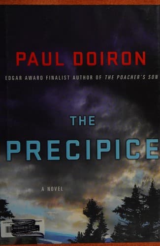 Cover image for The precipice