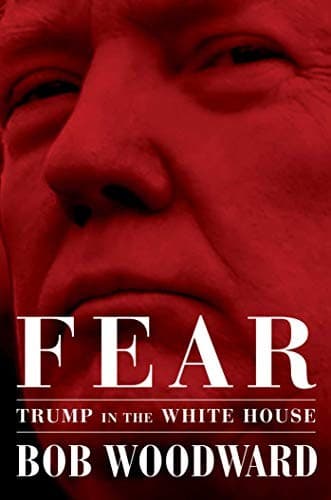 Cover image for Fear