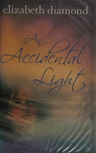 Cover image for An accidental light