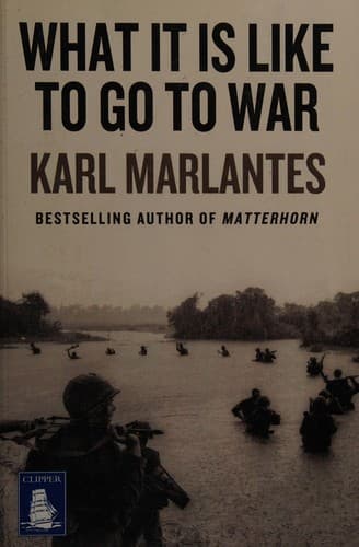 Cover image for What It Is Like to Go to War