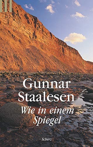 Cover image for Wie in einem Spiegel