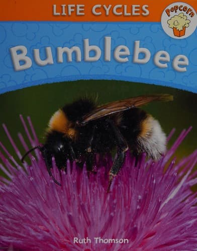Cover image for Bumblebee