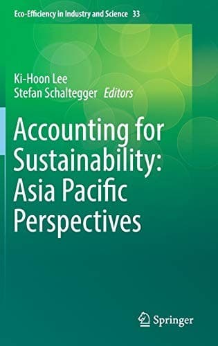 Cover image for Accounting for Sustainability