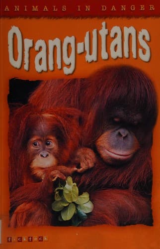 Cover image for Orangutans