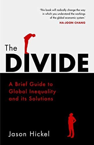 Cover image for The Divide