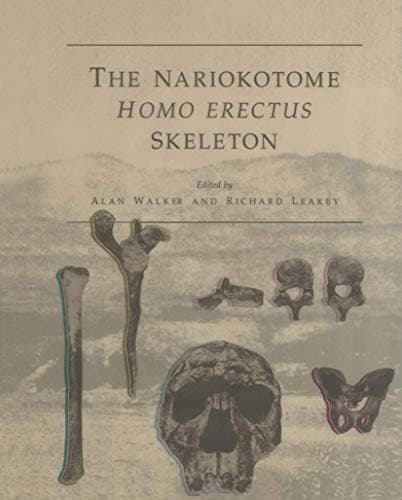 Cover image for The Nariokotome Homo Erectus Skeleton