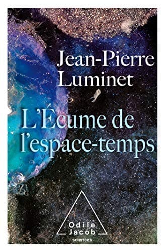 Cover image for L'Écume de l'espace temps