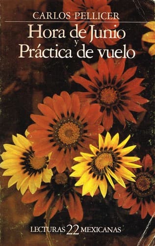 Cover image for Hora de junio y Práctica de vuelo