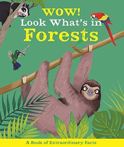 Cover image for Wow! Look What's In The Forests