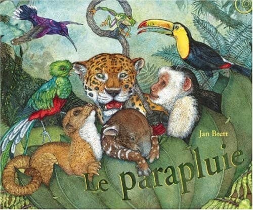 Cover image for PARAPLUIE