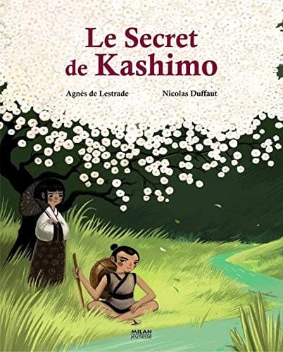 Cover image for Le secret de Kashimo