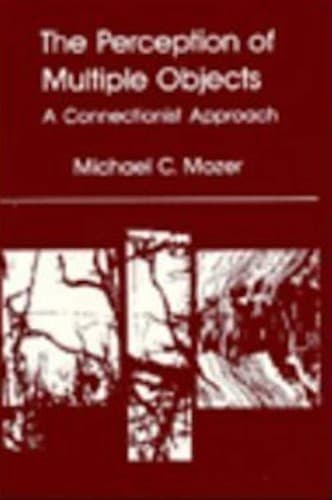 Cover image for The perception of multiple objects