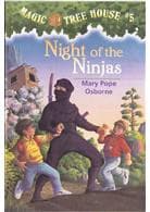 Cover image for Night of the Ninjas