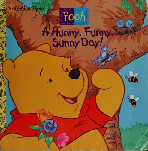 Cover image for Hunny, Funny, Sunny Day, A