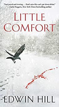 Cover image for Little comfort