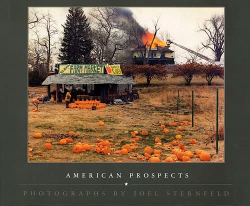 Cover image for American Prospects