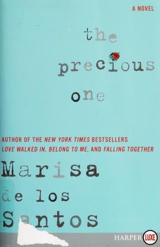 Cover image for The precious one
