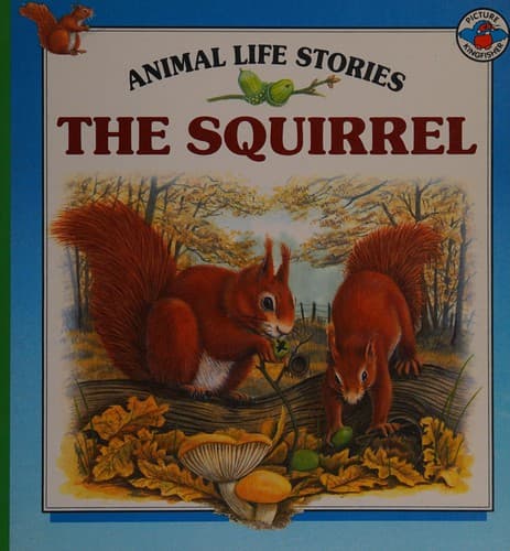 Cover image for The squirrel.