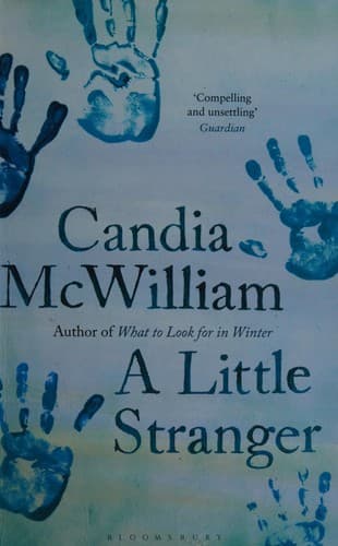 Cover image for A little stranger