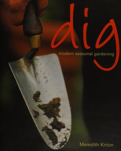 Cover image for Dig