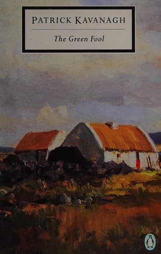 Cover image for The green fool