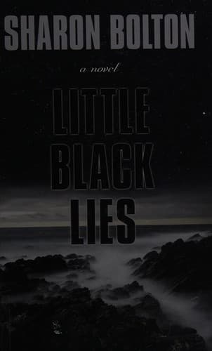 Cover image for Little black lies