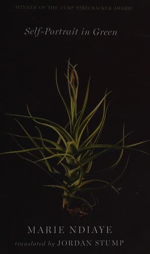 Cover image for Self-portrait in green