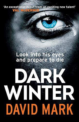 Cover image for Dark Winter