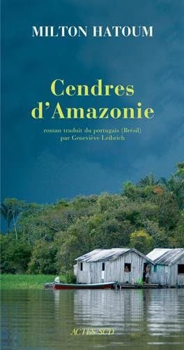Cover image for Cendres d'amazonie