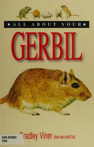 Cover image for All about your gerbil