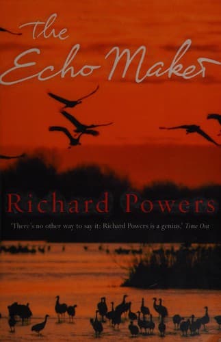 Cover image for The echo maker