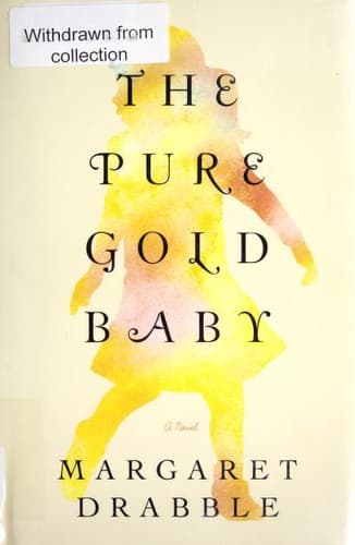 Cover image for The pure gold baby