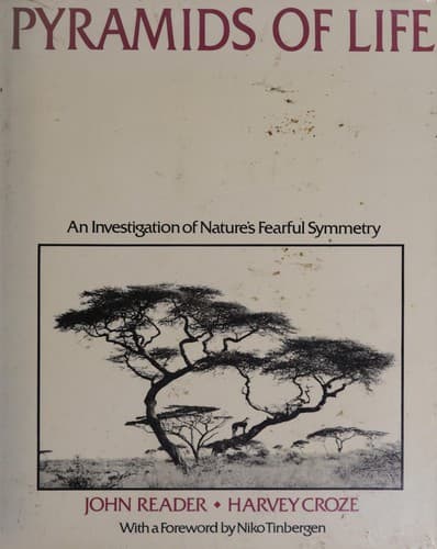 Cover image for Pyramids of life