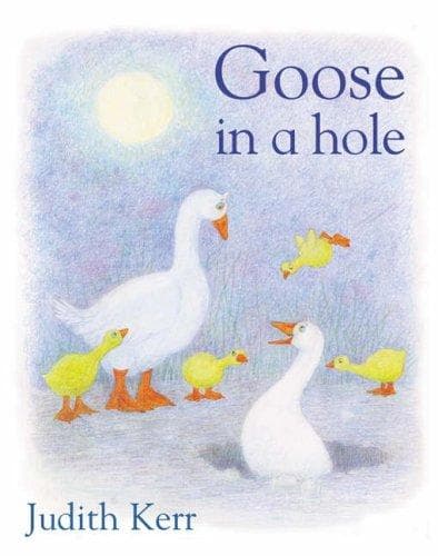 Cover image for Goose in a Hole
