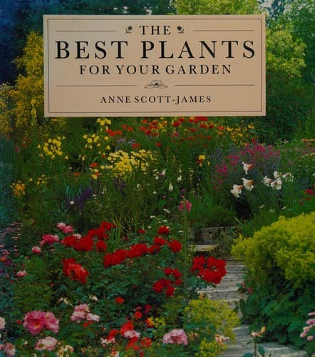 Cover image for The best plants for your garden