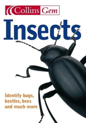 Cover image for Gem Insects (Collins Gem)