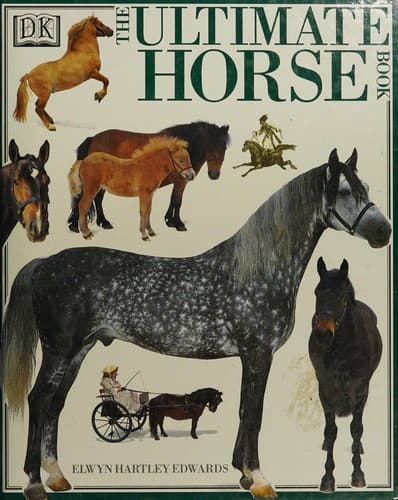 Cover image for The ultimate horse book