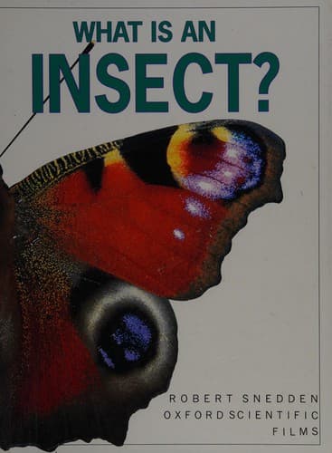 Cover image for What is an insect?