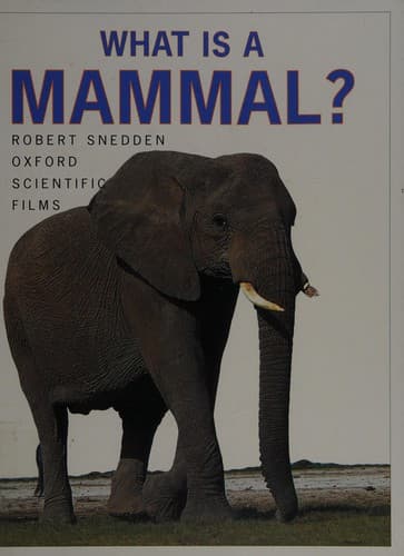 Cover image for What is a mammal?