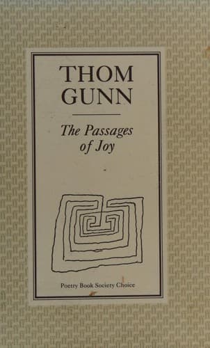 Cover image for The passages of joy