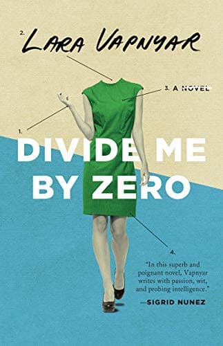 Cover image for Divide Me By Zero