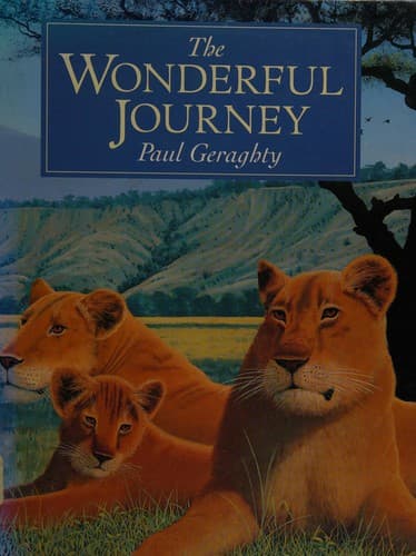 Cover image for The wonderful journey