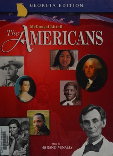 Cover image for The Americans